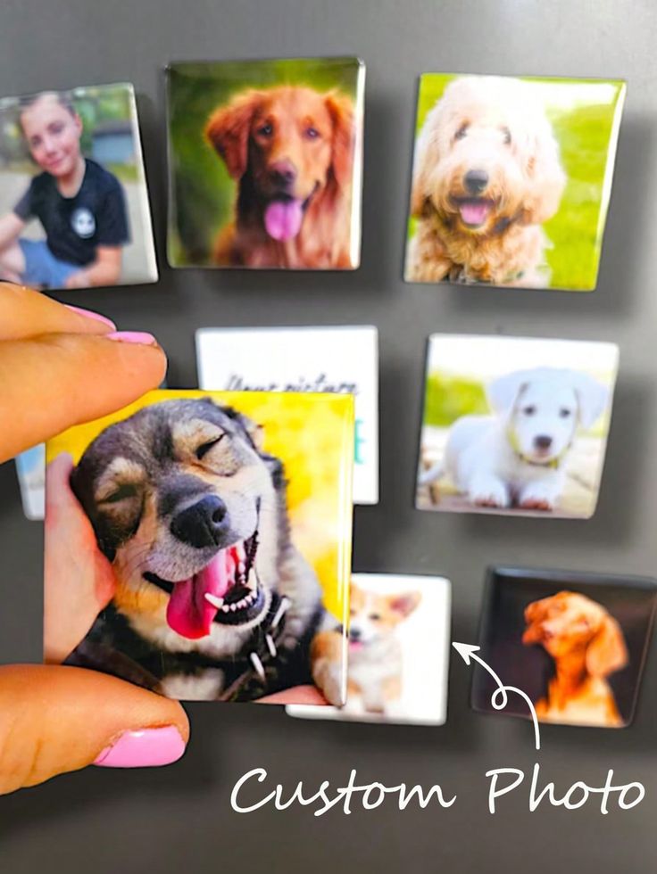 6 personalized photo magnets
